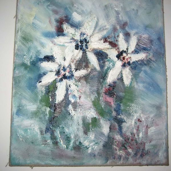 Blumen Foto 2